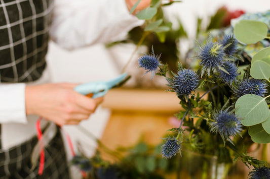 Cómo cuidar tus flores para que duren más tiempo