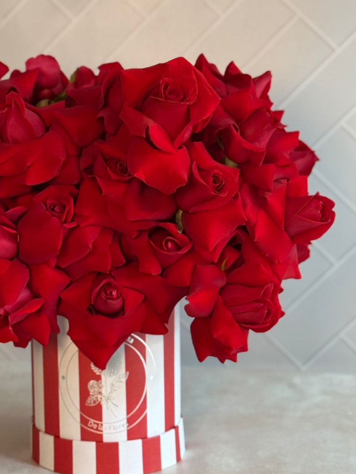 50 Rosas Hermosas Rojas