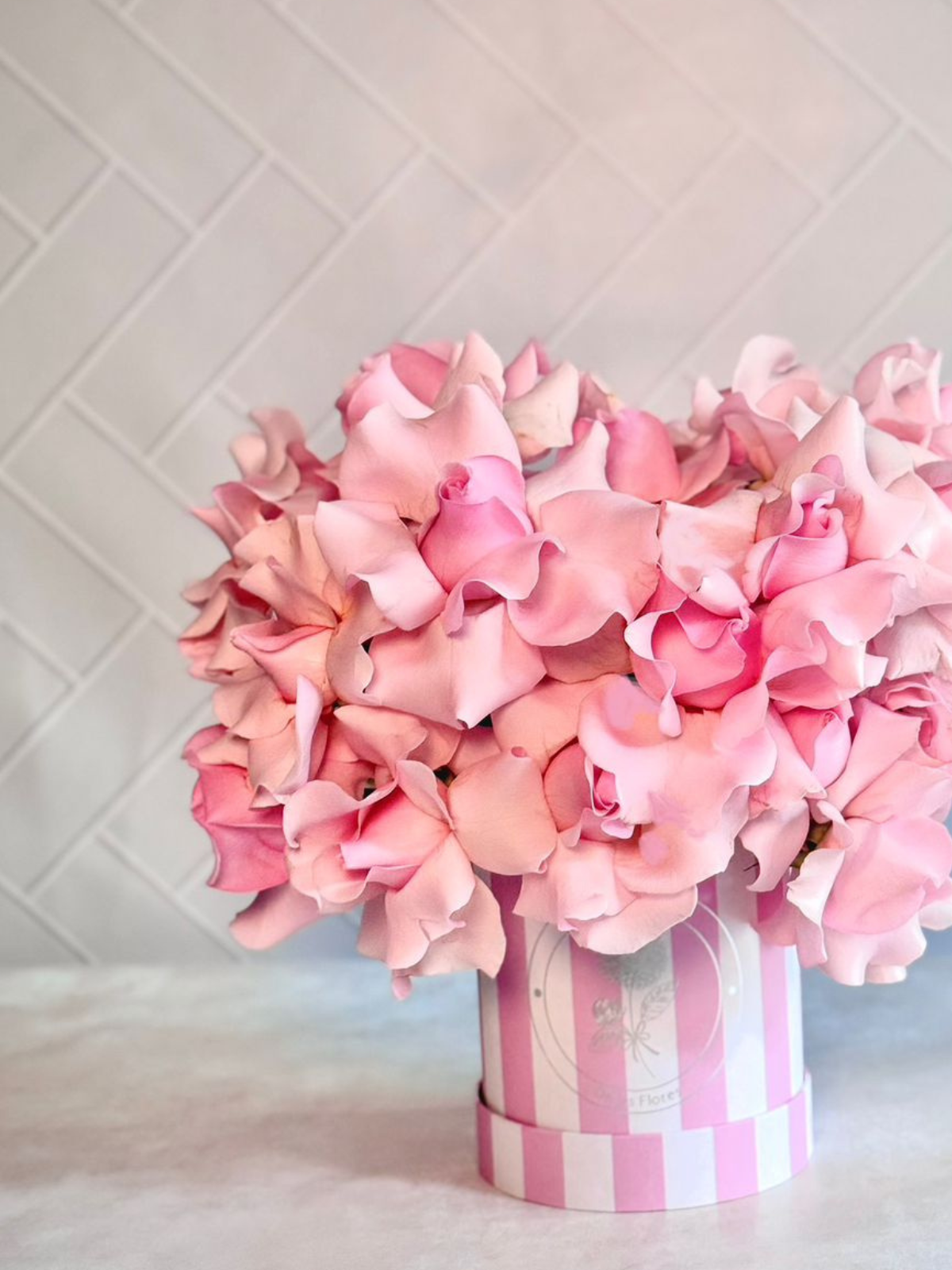 Rosas Hermosas en Rosa
