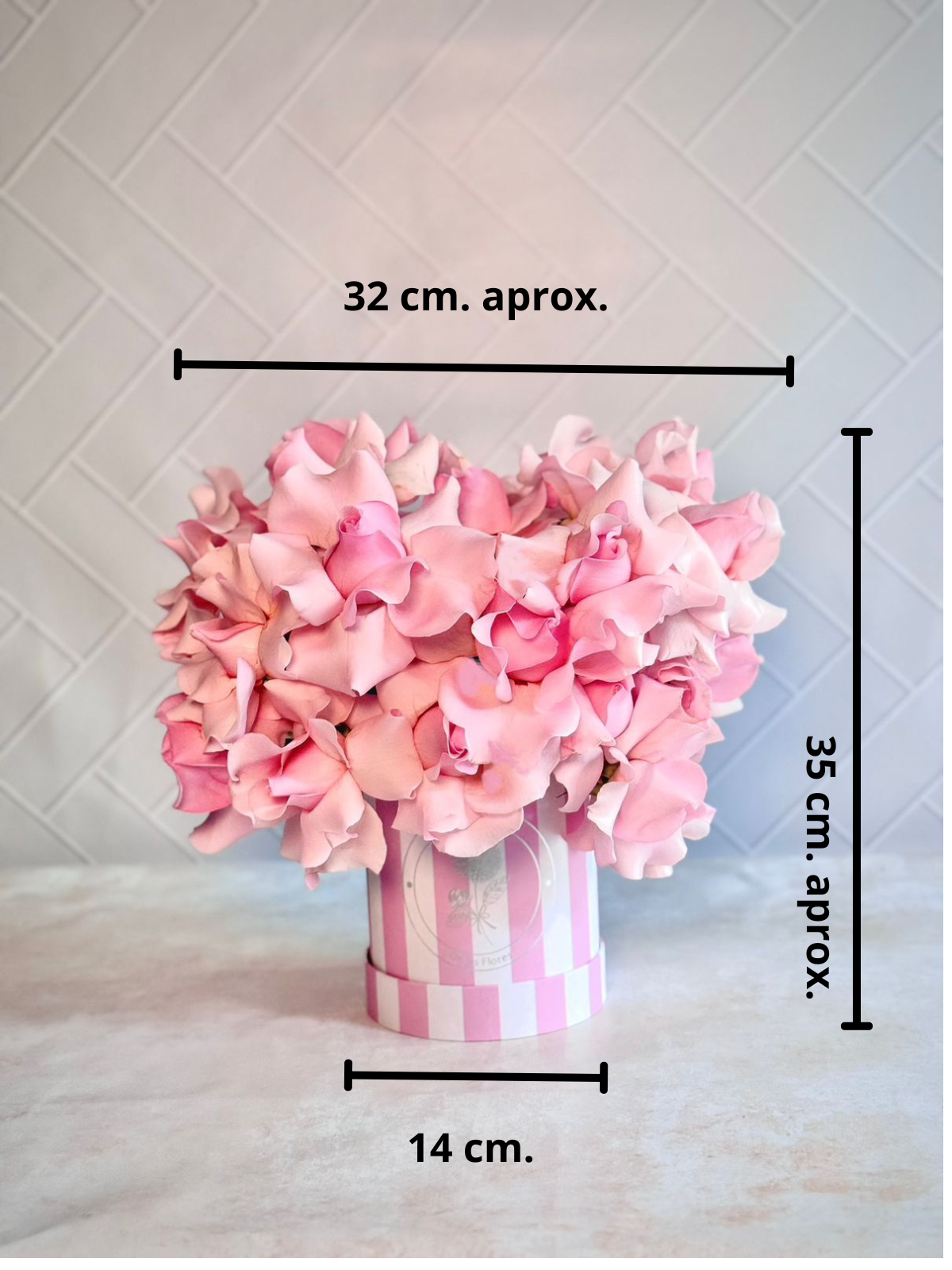Rosas Hermosas en Rosa