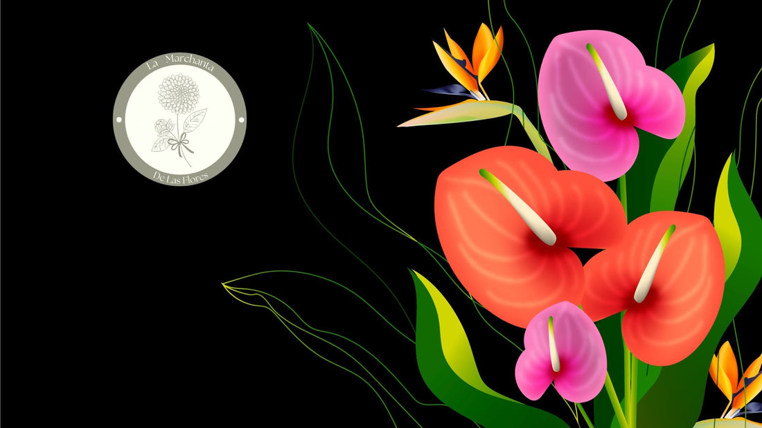 Anturios: Elegancia Tropical para tu Hogar u Oficina