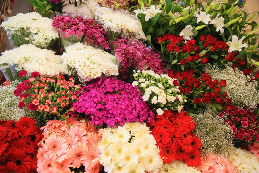 white and pink flowers on garden