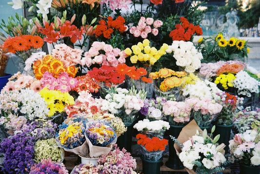 a group of flowers